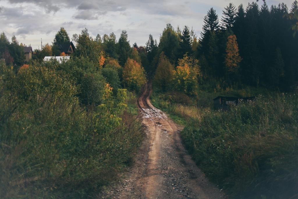 Выжившие. В Прикамье почти в 30 раз выросла активность клещей