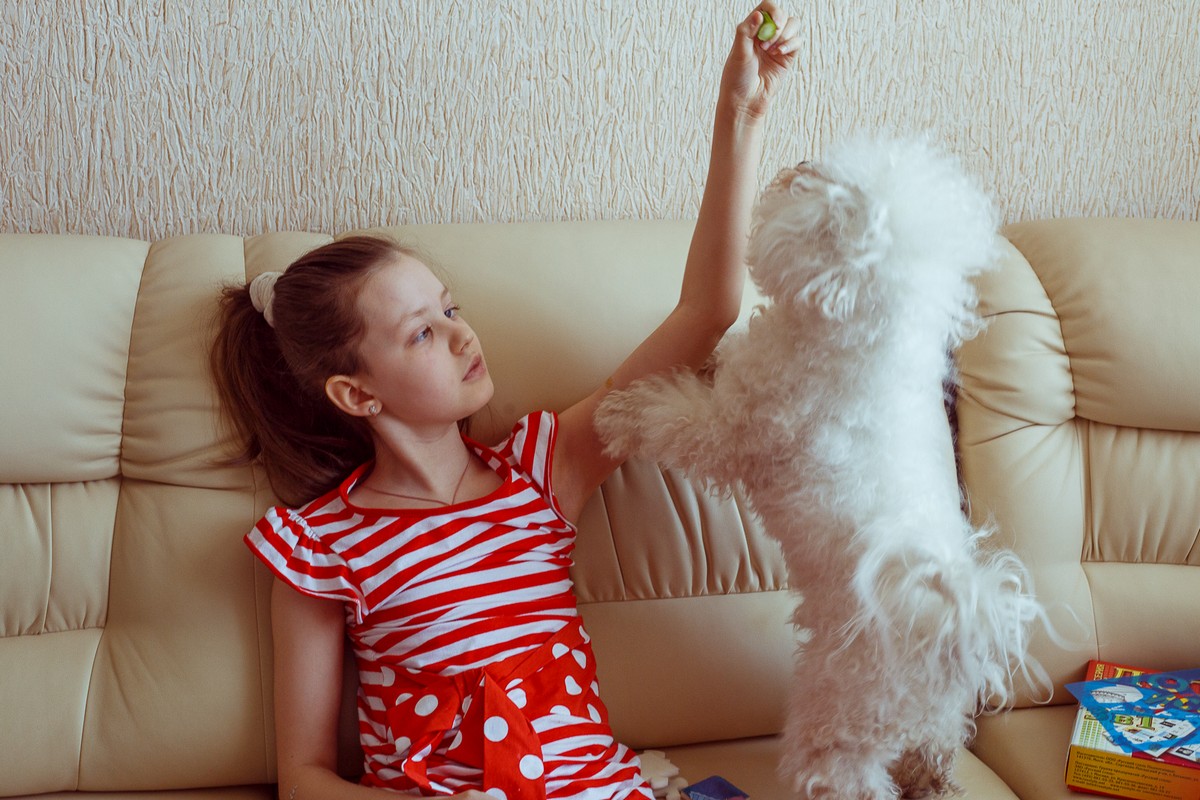 «Амкар» посвятит матч спасению юной пермячки Лизы Евсиной