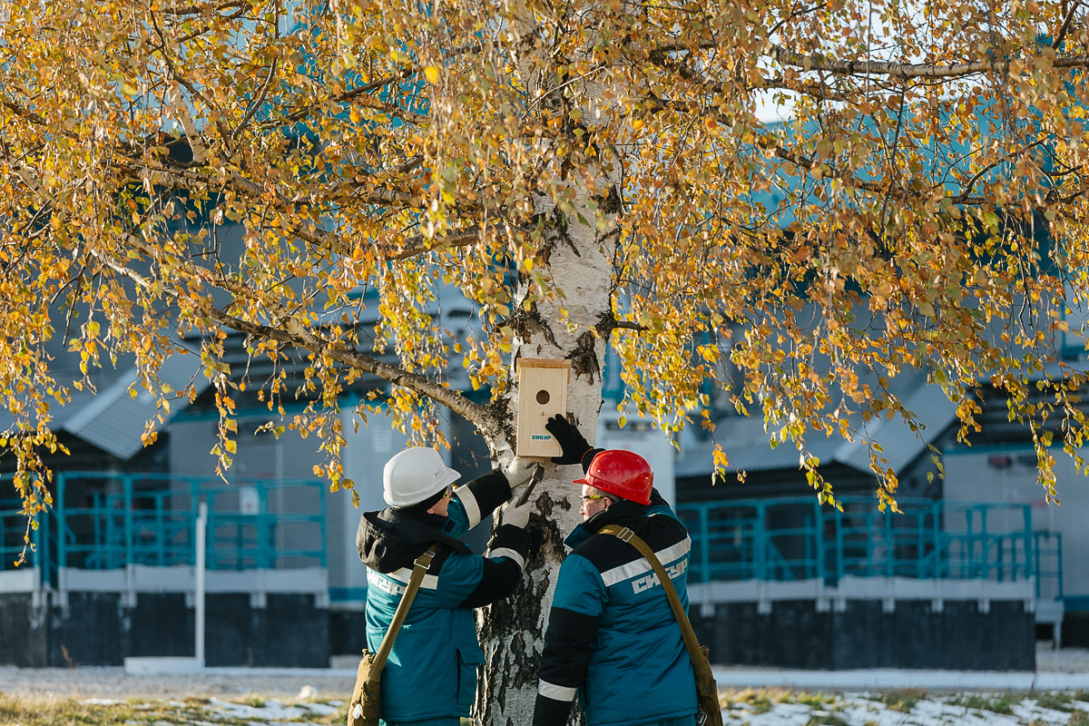 Химия жизни. Один день на пермской площадке СИБУРа