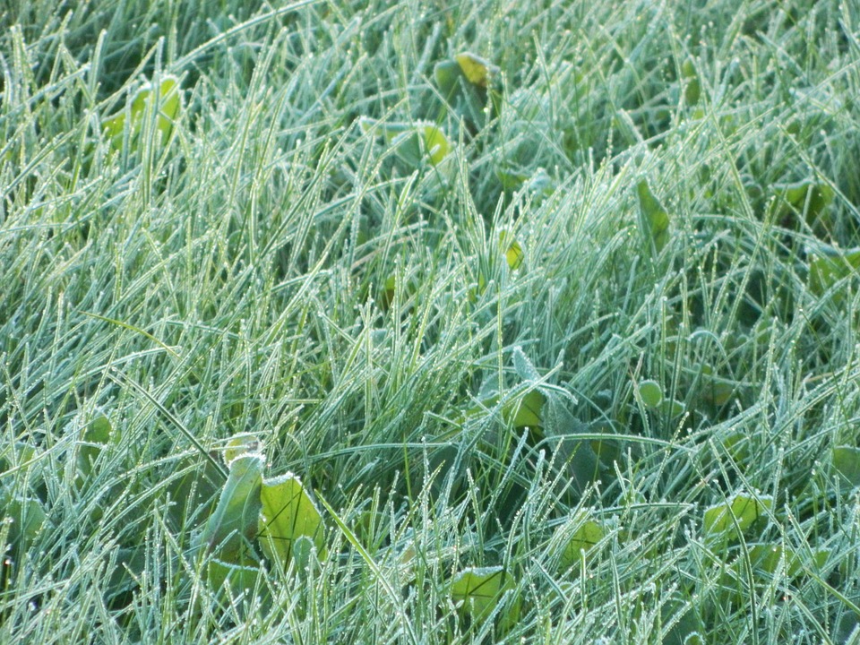 Холод не тетка. Прогноз погоды на июнь