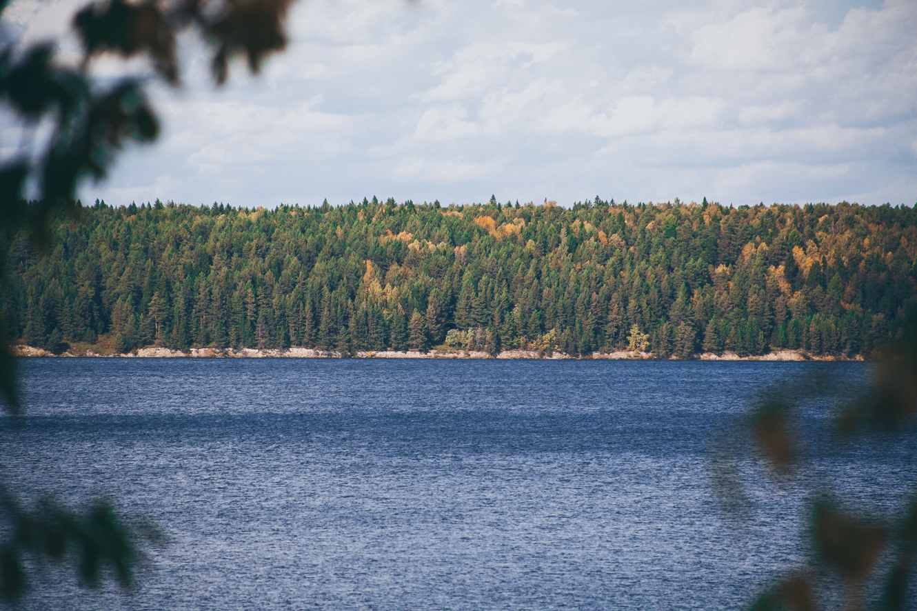 Комары, топоры, огурцы