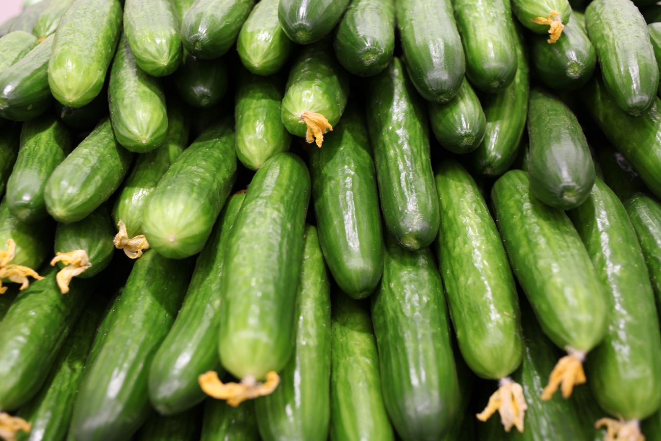 Комары, топоры, огурцы