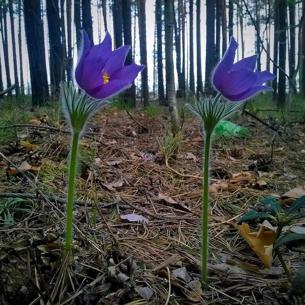Привет, сейчас Пермь. ТОП-10 «мгновенных» фотографий Перми, которыми жители поделились в одном из федеральных пабликов