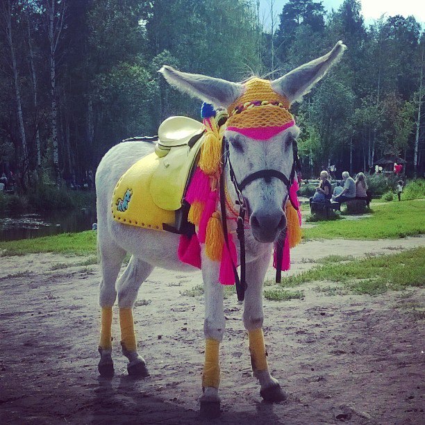 «На жизнь без излишеств». Пять историй пермяков, которые зарабатывают ручным трудом