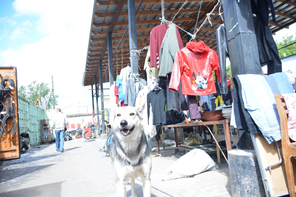 Круговорот старья в природе. Корреспондент Business Class узнал, что пермяки продают и покупают на блошином рынке