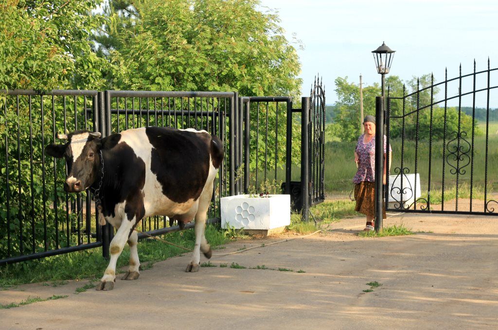 Храм, который построил Дягилев