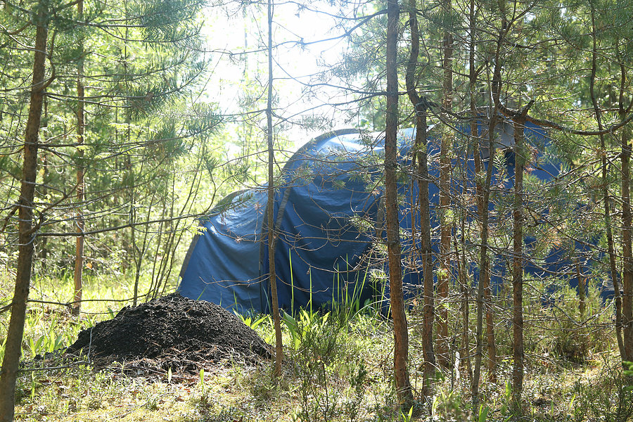 Спортсмены из Франции рассказали, как преодолели 6 тысяч километров, чтобы попасть в Пермь