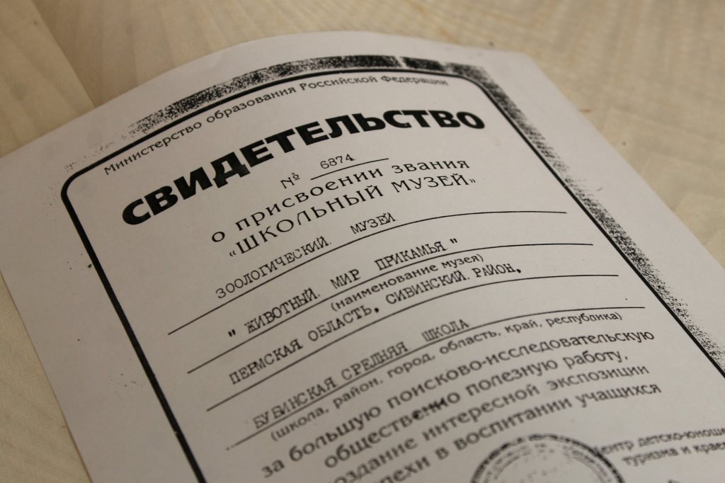 В поисках Буба
