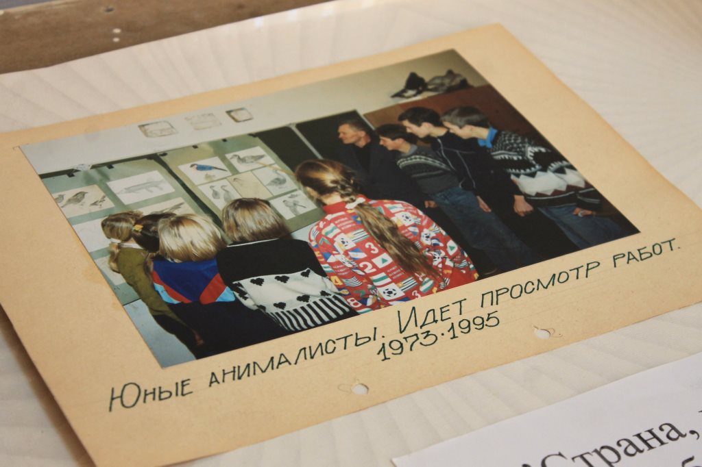 В поисках Буба
