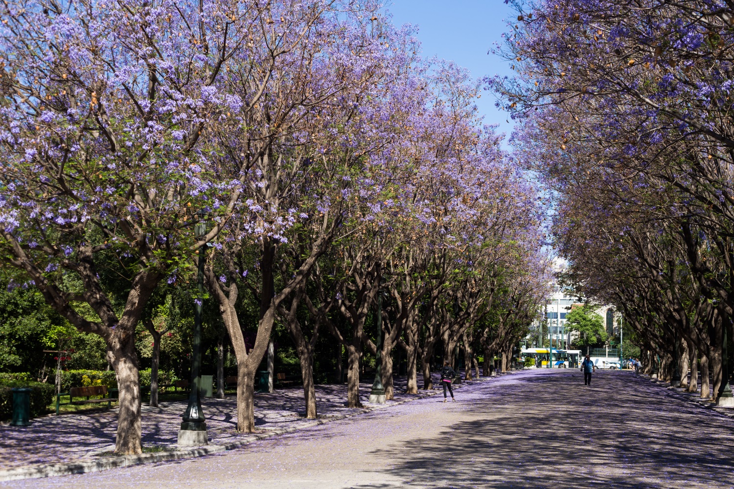 В гостях у Зевса: подъем на Олимп, приобщение к античной классике и самый зеленый остров Эгейского моря