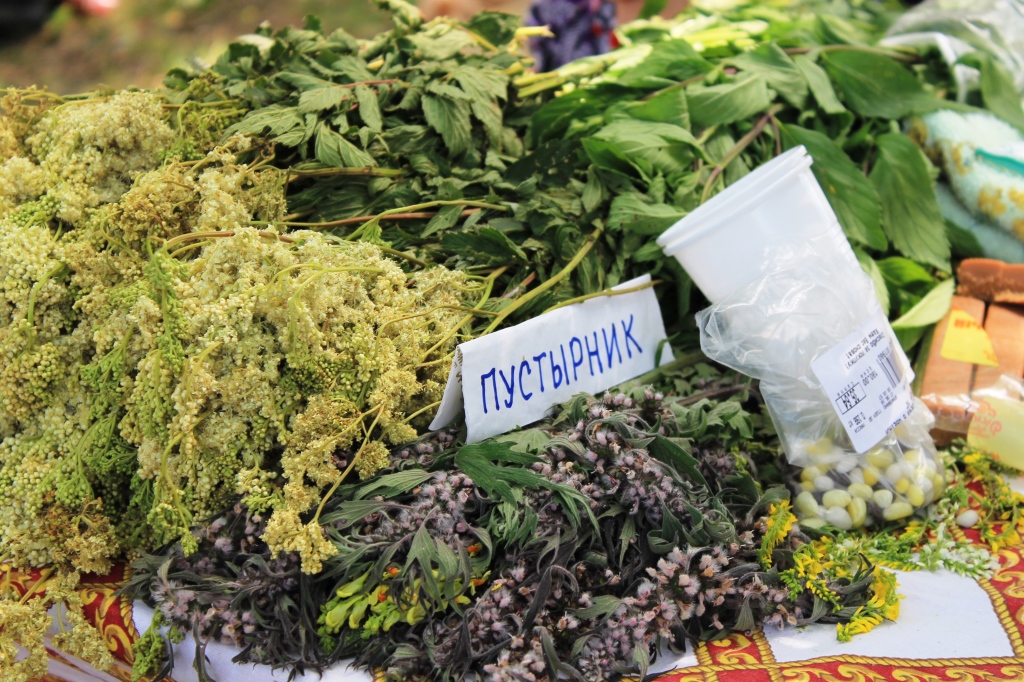 В поисках Буба