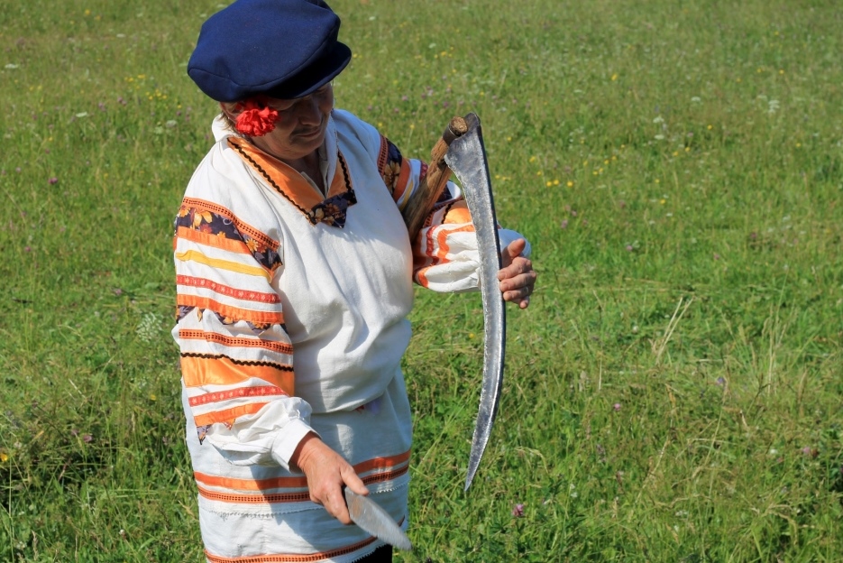 В поисках Буба