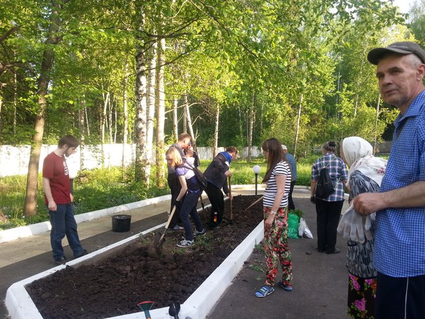 Некогда помирать, или Проект «Природотерапия»