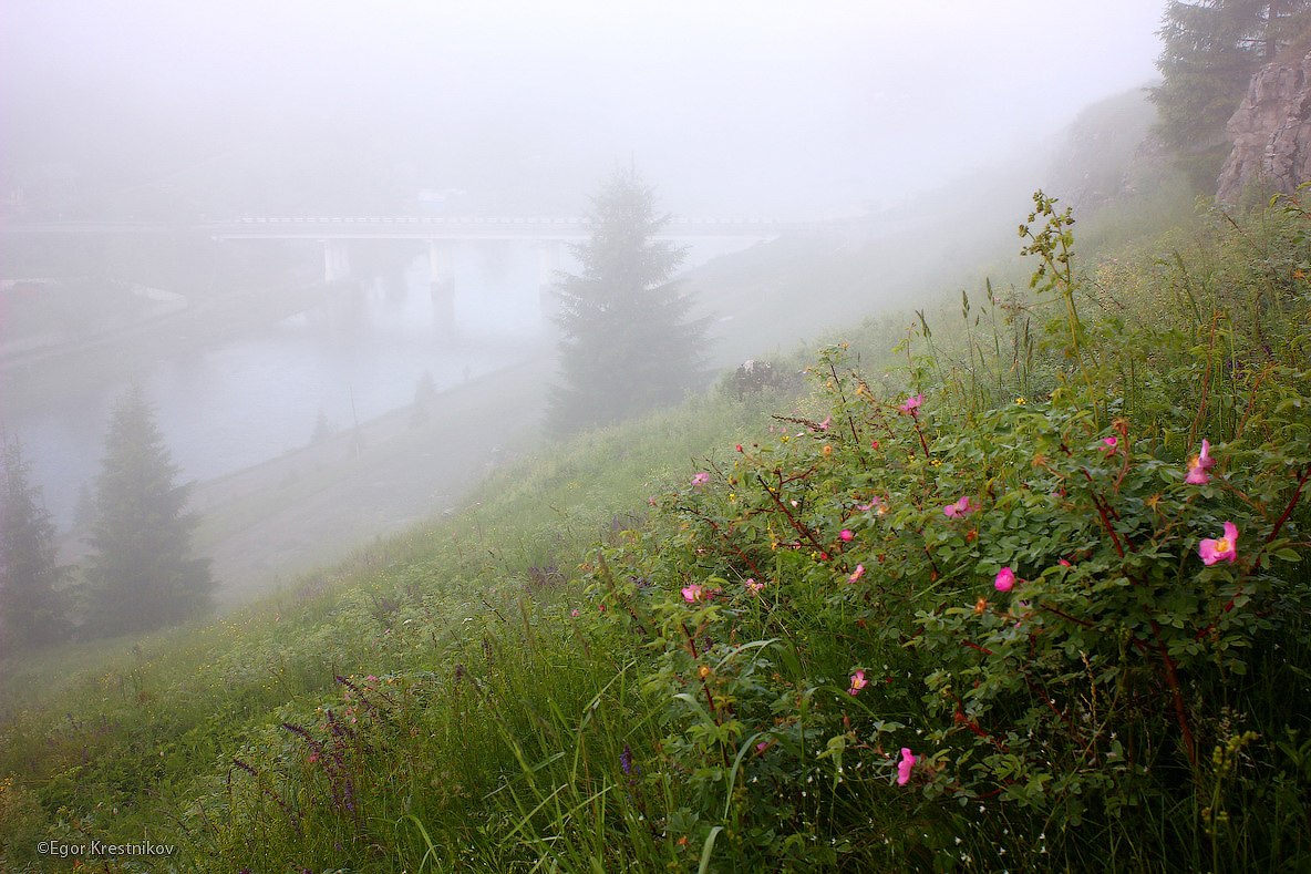 Поймать момент. 60 работ фотографов, которые вдохновляются пейзажами Пермского края
