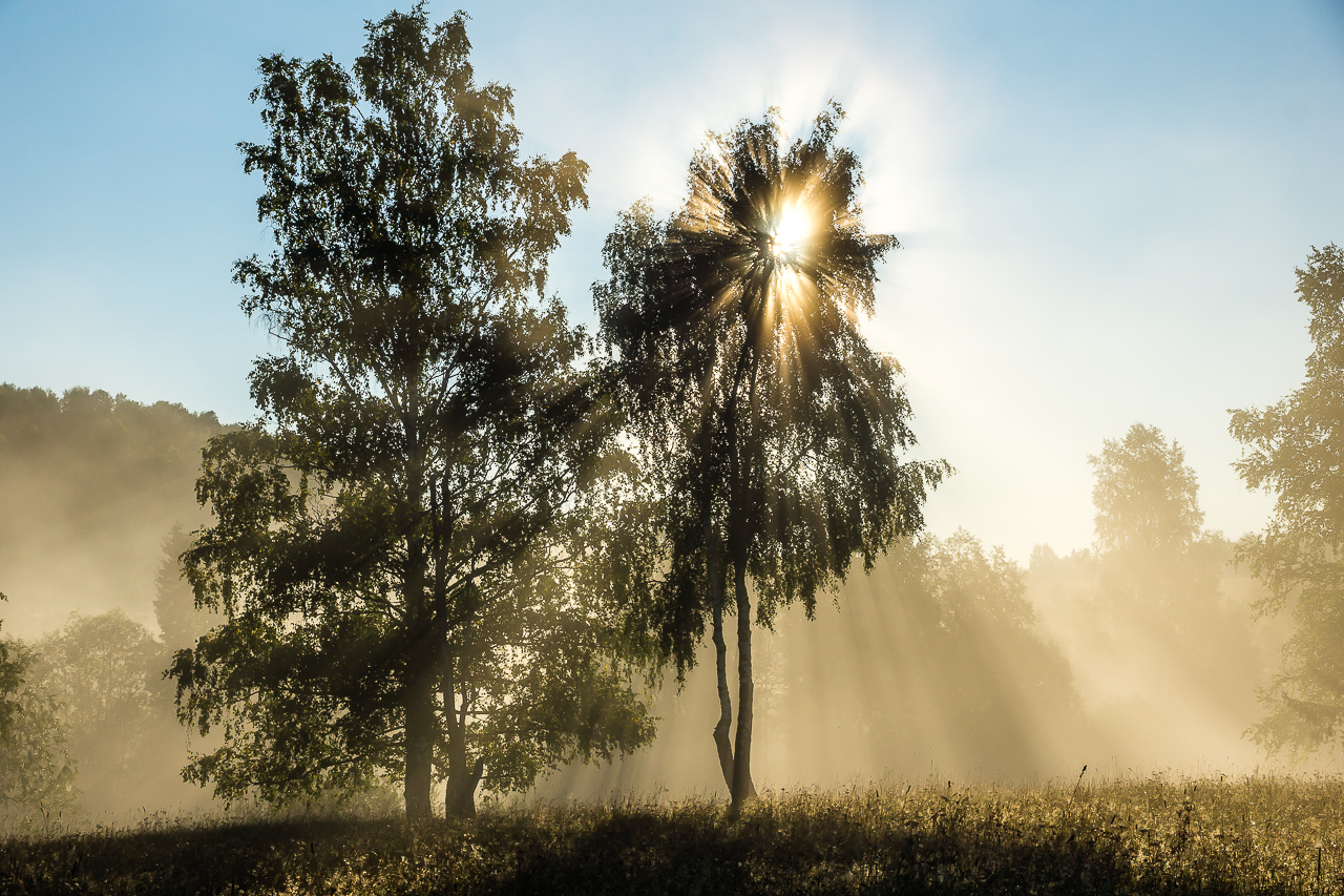 Поймать момент. 60 работ фотографов, которые вдохновляются пейзажами Пермского края