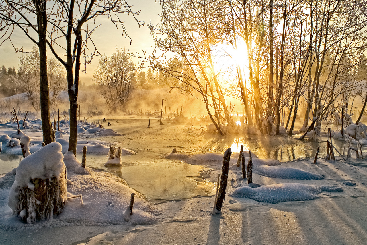 Поймать момент. 60 работ фотографов, которые вдохновляются пейзажами Пермского края