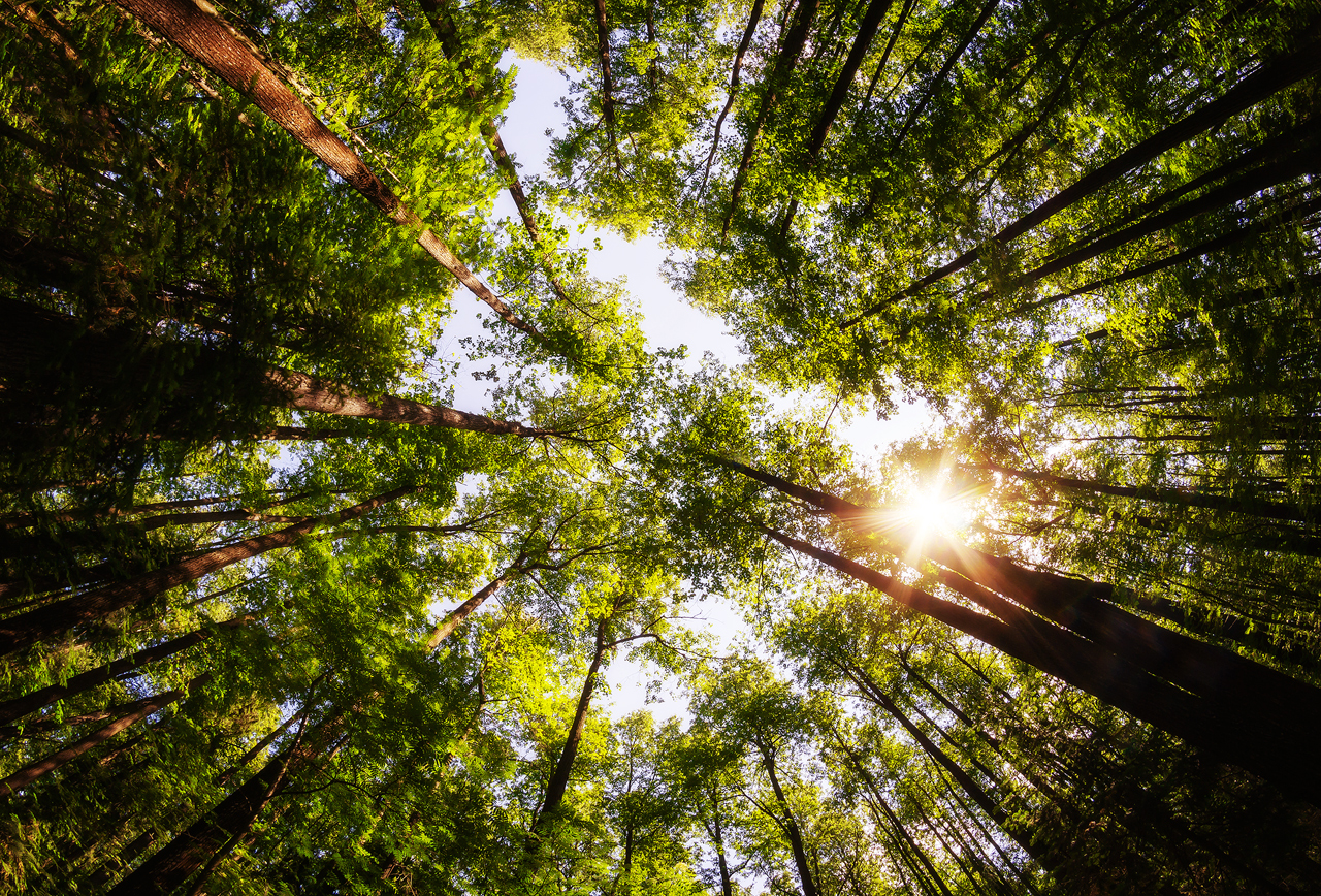 Поймать момент. 60 работ фотографов, которые вдохновляются пейзажами Пермского края