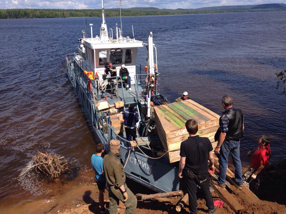 Бивнем по голове