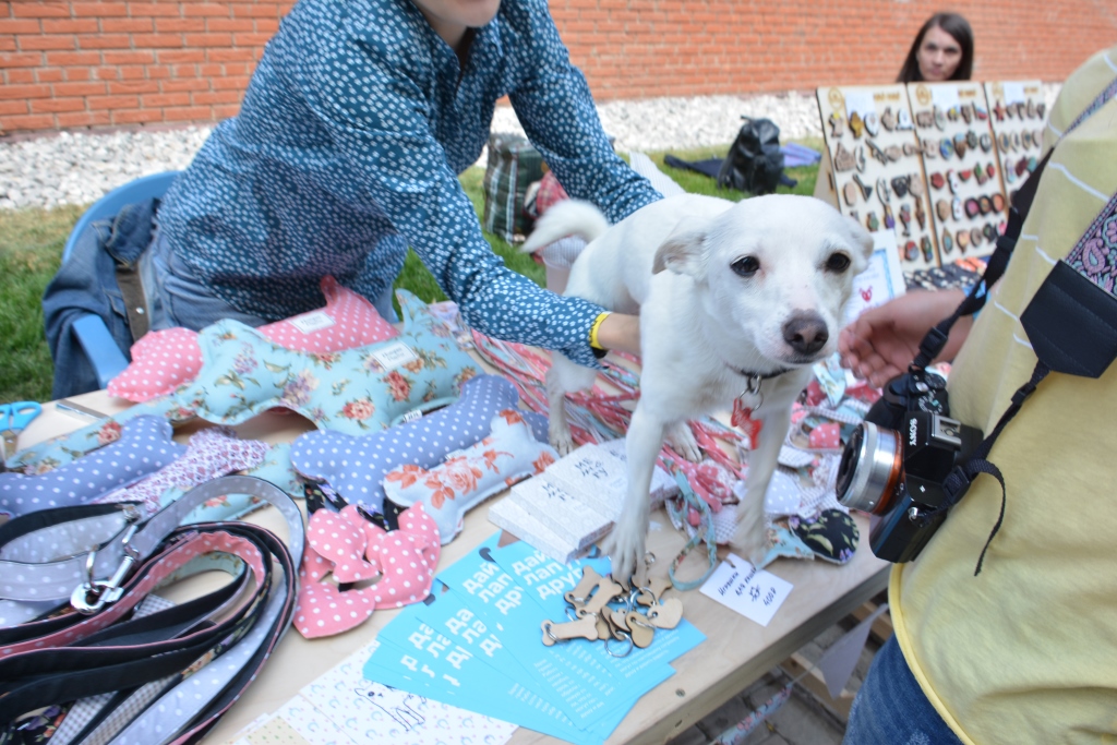 Пермяки встанут на защиту прав кошек и собак на Animal Rights Weekend