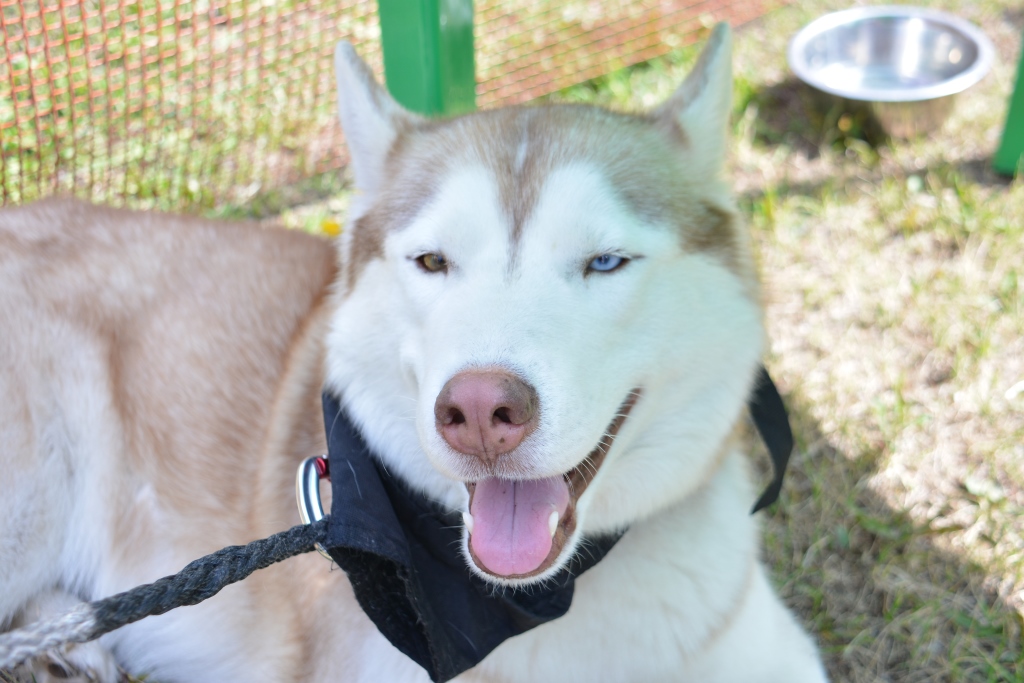 Полезный отдых