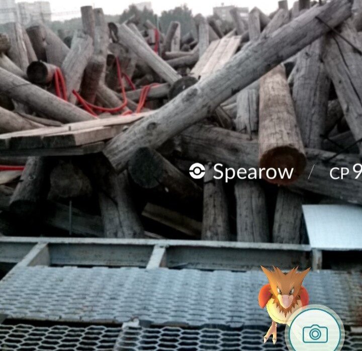 Житель Перми при поимке покемона забрался на арт-объект «Пермские ворота»