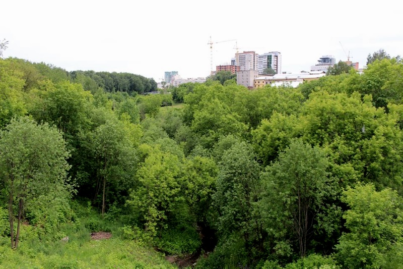 ​Сергей Терешенков –​ о соляных битвах​ Прикамья, культурных и природных провалах 