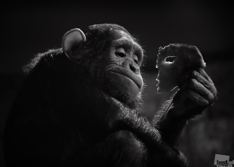 В Пермь привезут работы лучших фотографов России. Подборка снимков