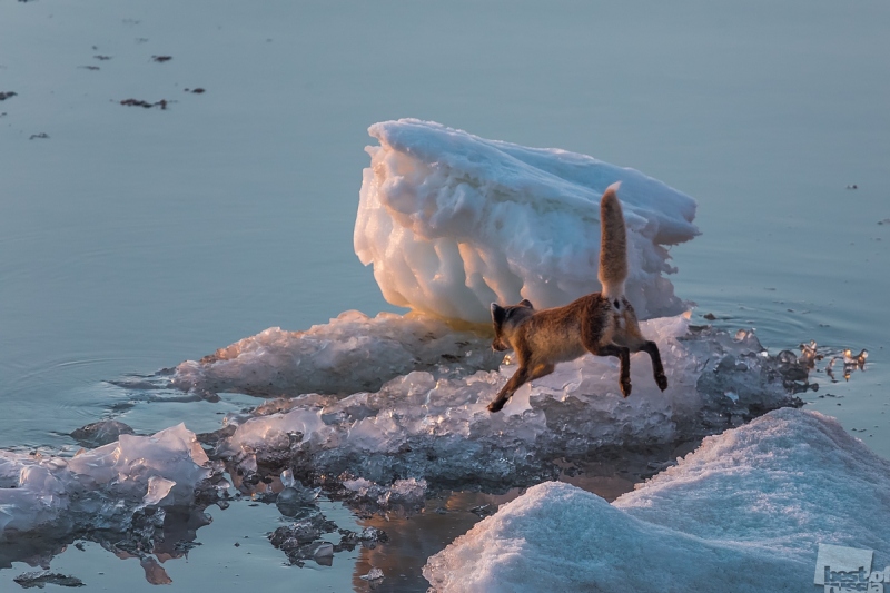 В Пермь привезут работы лучших фотографов России. Подборка снимков