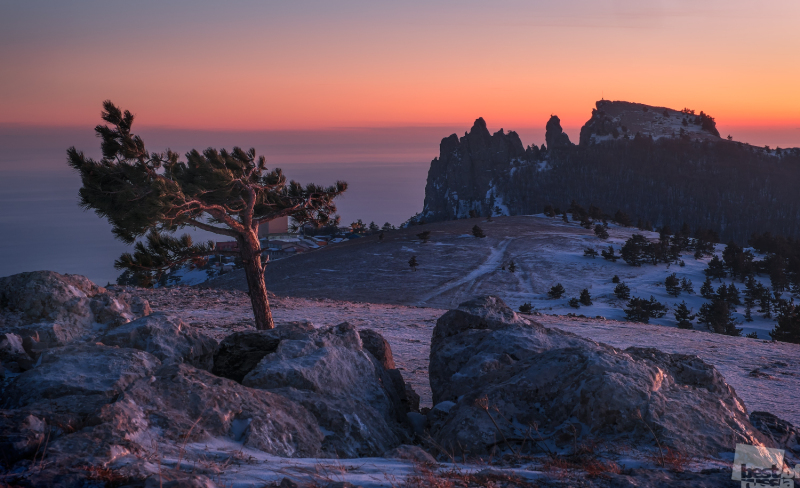 В Пермь привезут работы лучших фотографов России. Подборка снимков