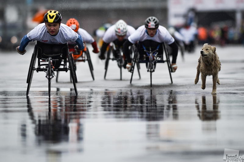 В Пермь привезут работы лучших фотографов России. Подборка снимков
