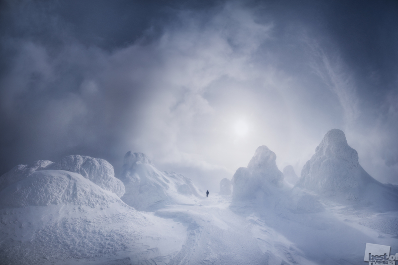 В Пермь привезут работы лучших фотографов России. Подборка снимков