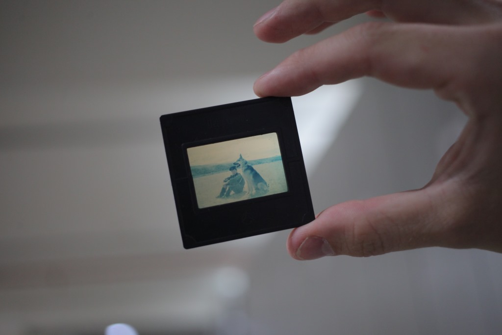 Дом, где живет история. Business Class открывает секреты Государственного архива Пермского края