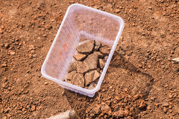 Пермские археологи извлекают артефакты из могильника эпохи Великого переселения народов