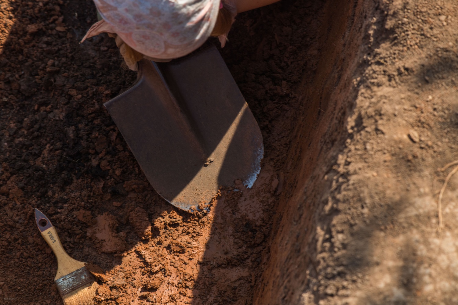 Белые против черных. В Пермском районе заканчивается экспедиция по раскопкам Мокинского могильника