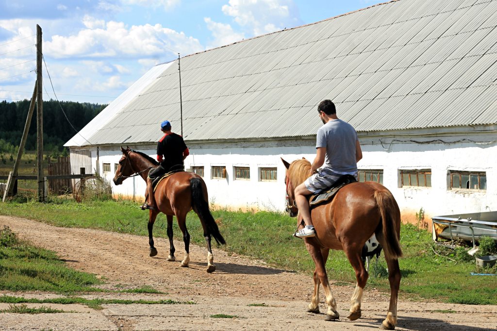 Главные по ложкам