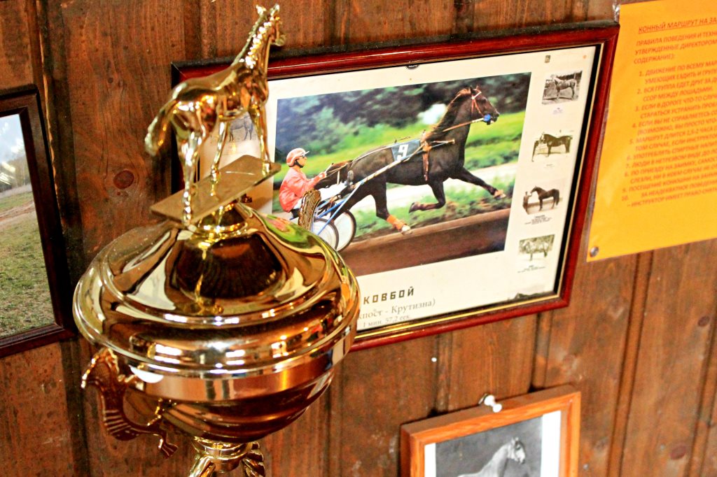 Главные по ложкам