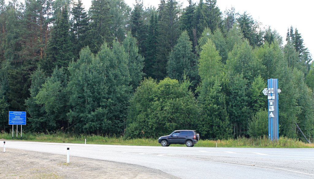 Главные по ложкам