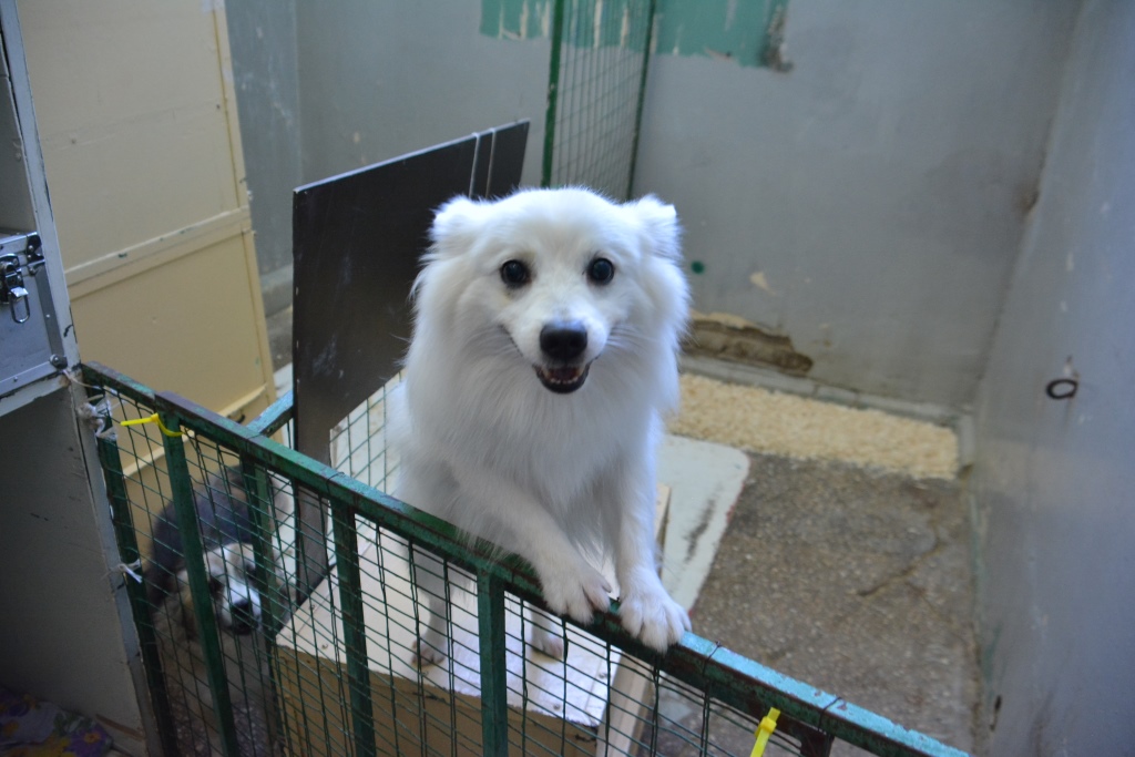 Весь мир – цирк. Рассказываем о тайнах пермского манежа 