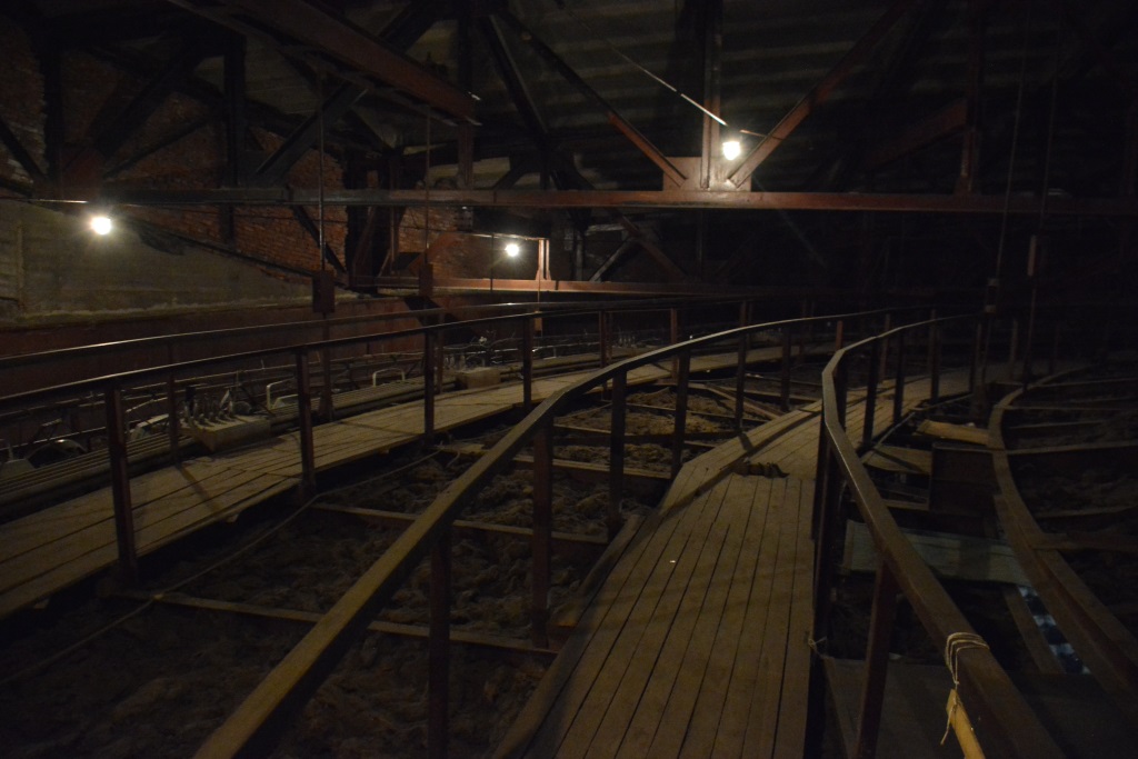 Весь мир – цирк. Рассказываем о тайнах пермского манежа 