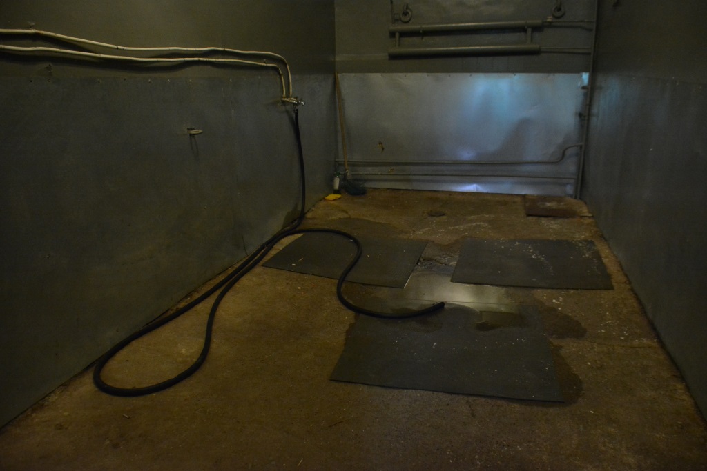 Весь мир – цирк. Рассказываем о тайнах пермского манежа 