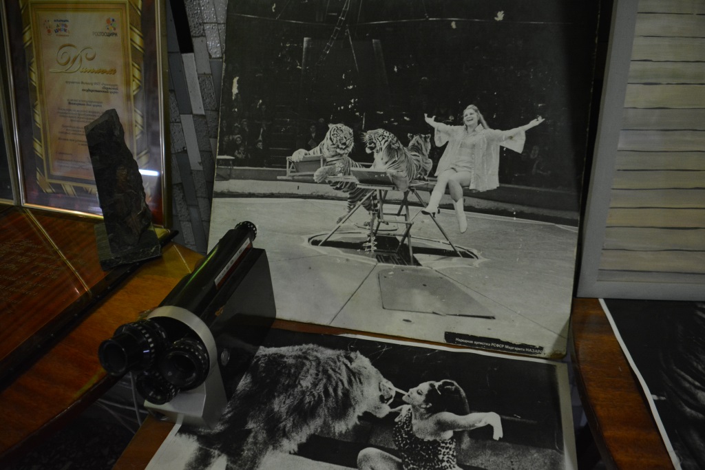 Весь мир – цирк. Рассказываем о тайнах пермского манежа 