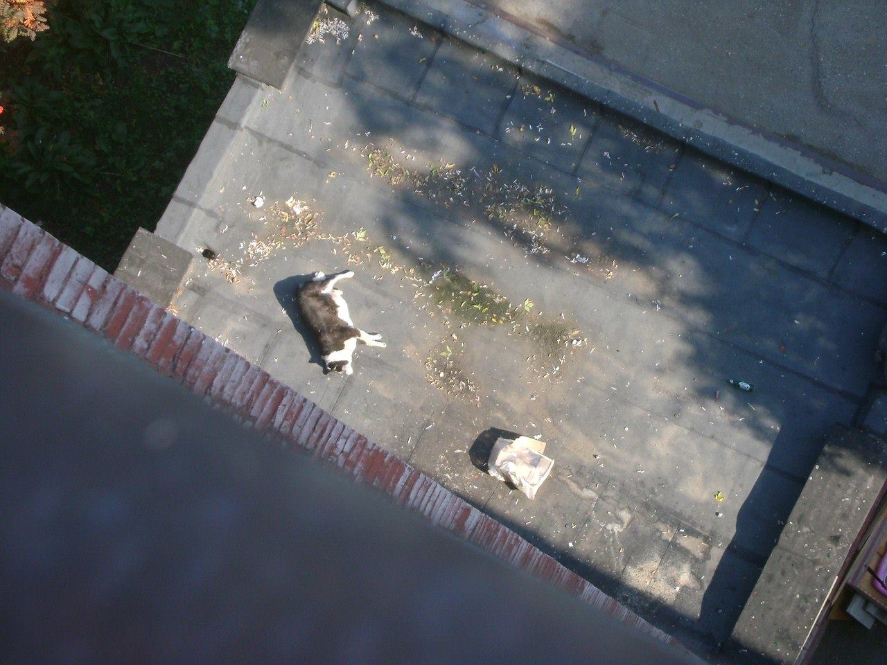 Сергей Терешенков - об общении с гопниками, пермском быте и группе Scorpions на «Рок-Лайне»