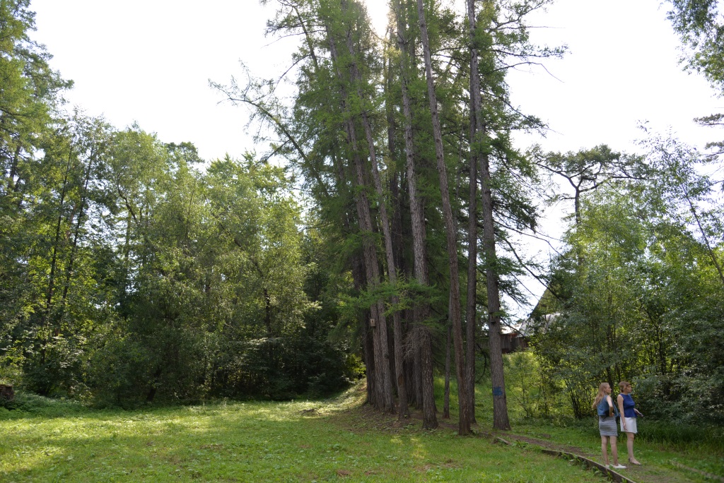 Центр управления Прикамьем