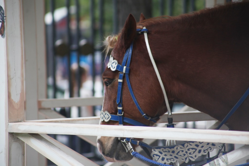 Спортивный сентябрь