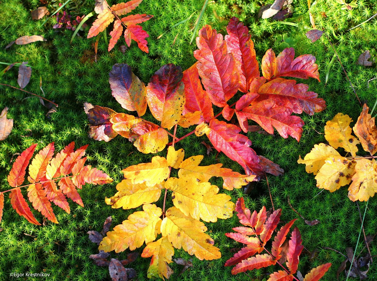 Ах, осень! Пермские фотографы поделились с Business Class фотографиями с осенними видами Урала