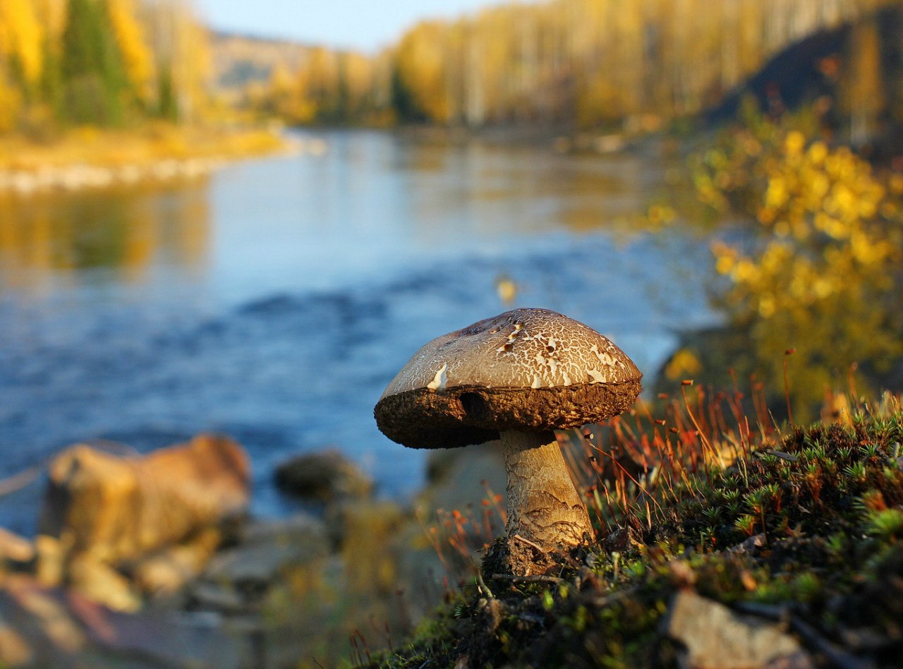Ах, осень! Пермские фотографы поделились с Business Class фотографиями с осенними видами Урала