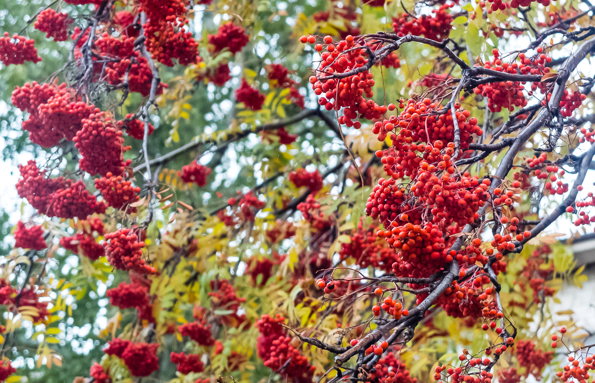 Ах, осень! Пермские фотографы поделились с Business Class фотографиями с осенними видами Урала