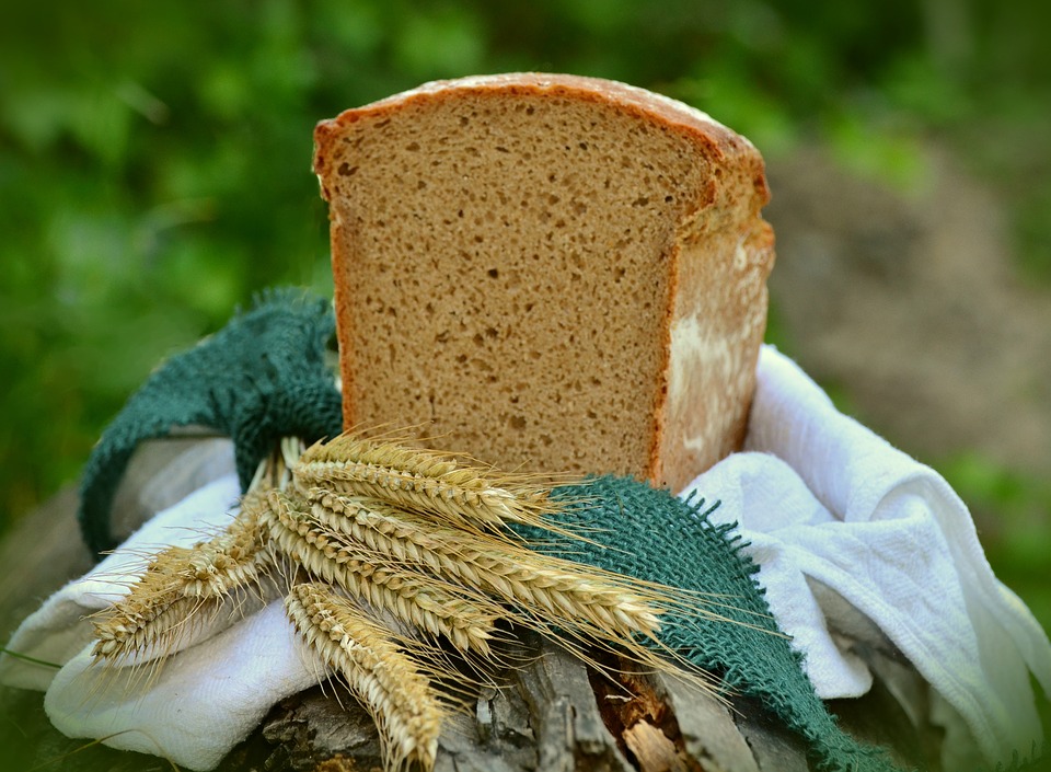 Праздник грибов и женское регби