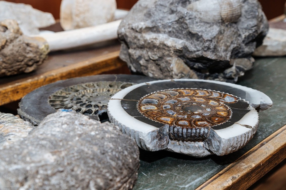 Выходные в городе