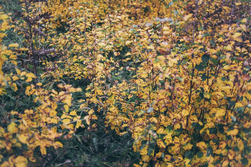 Выходные в городе